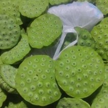 新鲜水果莲蓬大量发货全国各地都可以发货还有荷花