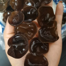 碗耳批发产地直发电商供货