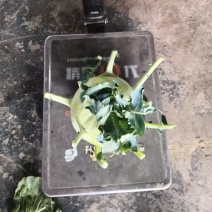 欢迎北方老板下单