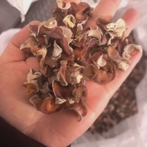粉木耳批发源头供货商超电商