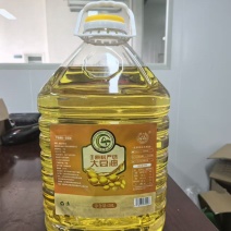 山东非转和转基因大豆油20升一桶厂家直发常年供应