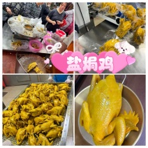 盐焗鸡地摊电商批发五指毛桃盐焗鸡摆摊卤味熟食全熟盐焗鸡