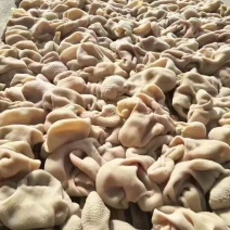 白羊肚，熟的，纯干货