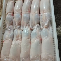 小白条鸭