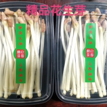 水培花生芽（200克盒装）量大从优价格美丽欢迎咨询
