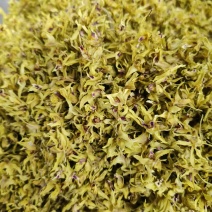 石斛花