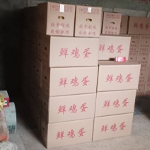 鲜鸡蛋，吃玉米粒米糠等。