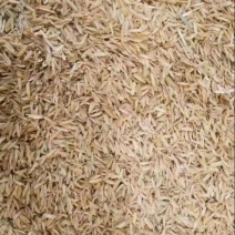 稻壳