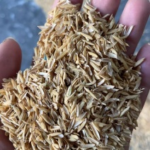 压缩稻壳，打包稻壳。