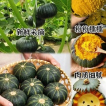 精选贝贝南瓜上市了品相好口感佳量大价优欢迎老板电联