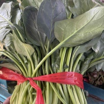 精品菠菜