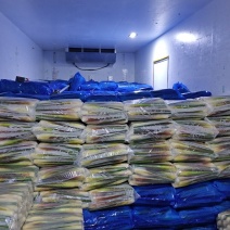 精品茭白，品类齐全，质优价美，欢迎各位有需求的老板电话联
