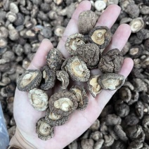 批发东北香菇大中小凉拌炒菜关东煮麻辣烫香菇花菇量大价优
