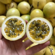 【广西百香果】广西钦蜜9号黄金百香果黄色原浆水果应季