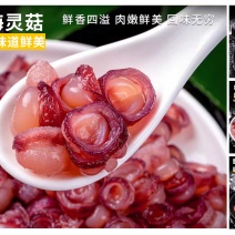 New海灵菇（形似菇，所以称之为海灵菇）嫩脆爽，好吃便宜