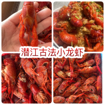 潜江古法小龙虾地摊电商批发清水小龙虾液氮锁鲜小龙虾