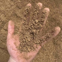 核桃粉高脂肪香气扑鼻喂鸡鸭鹅猪都可以