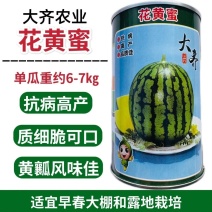 西瓜种子大齐花黄蜜早熟黄心西瓜种子800粒黄壤西瓜种子