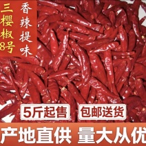 河南三樱椒八号特香微辣品质优价格低现货充足包邮