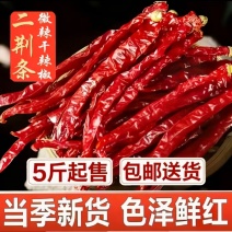 四川特产爆香微辣二荆条精品货源充足可切段包邮