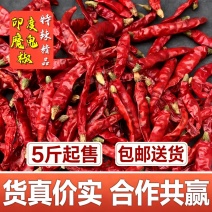 印度S17魔鬼椒剪把带帽九成干精品特辣纯印度椒