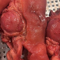 源头直供***正品猪头肉随时畅聊口感纯正