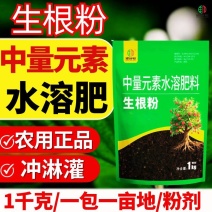 快速生根粉育苗扦插移栽快速生根养根壮根护根