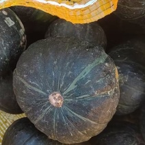 广州增城区三江贝贝南瓜