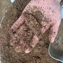 饲料级枣粉香甜高糖份牛羊鸡鸭鹅都可以吃