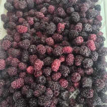黑莓冻果现货60吨