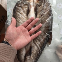 1斤以上1.5斤的2.8斤的都有
