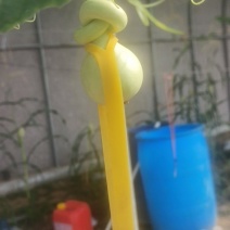 文玩葫芦***********