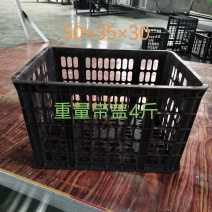 甘桔！沃柑！粑粑柑筐