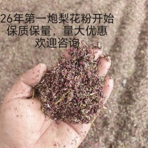 全网老铁大家好，这里是河北赵县花粉产地，26年新粉开始