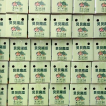 贝贝南瓜