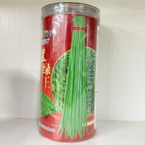 翠绿王豇豆种子白籽耐热品种种子