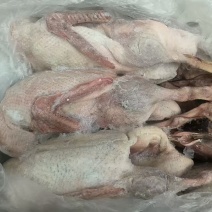 二级麻鸭单只4斤左右12吨