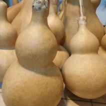葫芦
