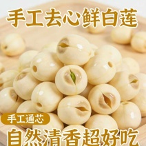新鲜去心白莲子湿白莲可零可批可一件代发全国各地发货