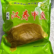 汉寿甲鱼