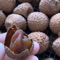 桂味荔枝干