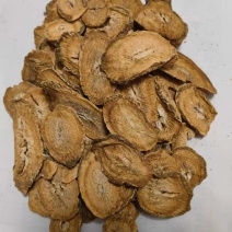 黄金牛蒡茶