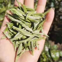 茶叶