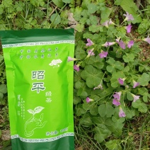 昭平毛峰绿茶