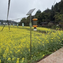 杀虫灯诱捕器粘虫板