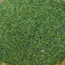 精品翠芽