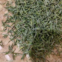 黄山毛峰，明前头采，炭火工艺