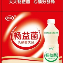 乳酸菌饮品1.25L*6瓶厂家直发多种规格量大从优