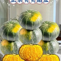 广东贝贝南瓜新鲜上市价格美丽对接全国量大从优欢迎询价热卖
