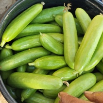 奶油黄瓜